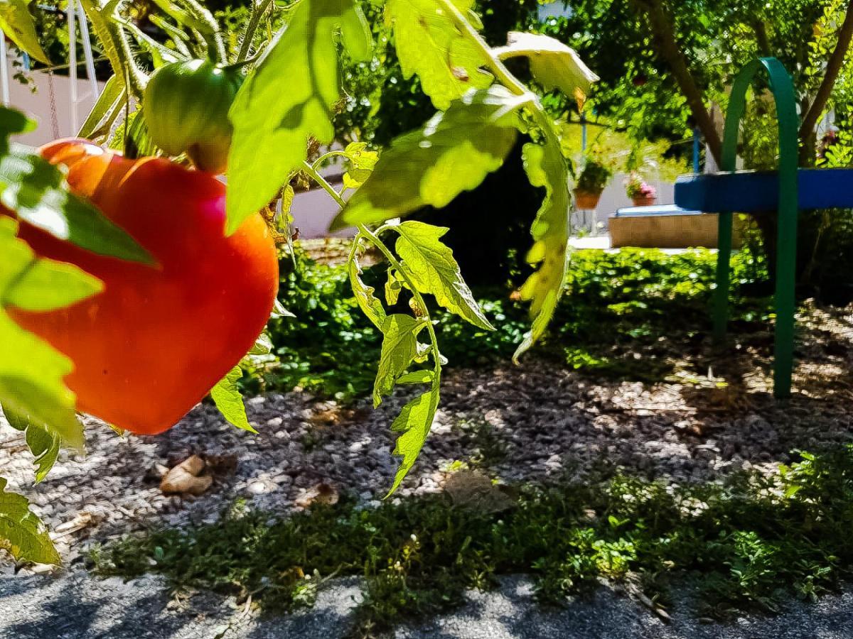 Colazione Dei Canottieri Lago (Calabria) Exterior foto